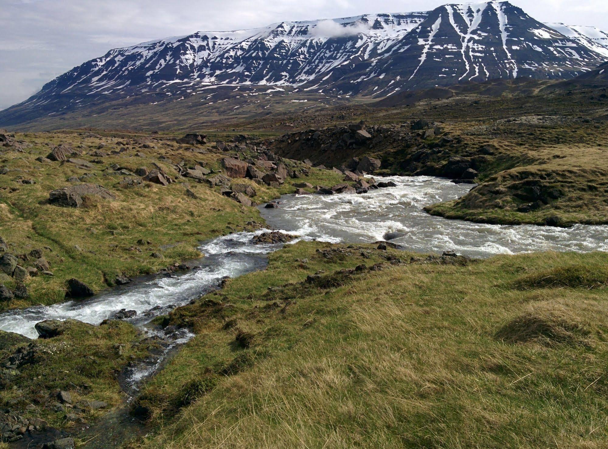 Engimyri Lodge Exteriör bild